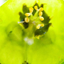 ddos压力测试平台